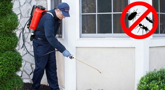 Mengen Karınca İlaçlama böcek ilaçlama ve haşere kontrolü — ilaclama-tr.com